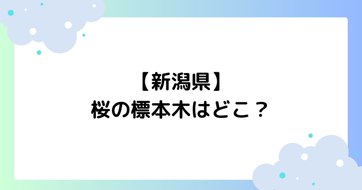 【新潟県】桜の標本木はどこ？開花･満開(見頃)時期の予定は？【2026】