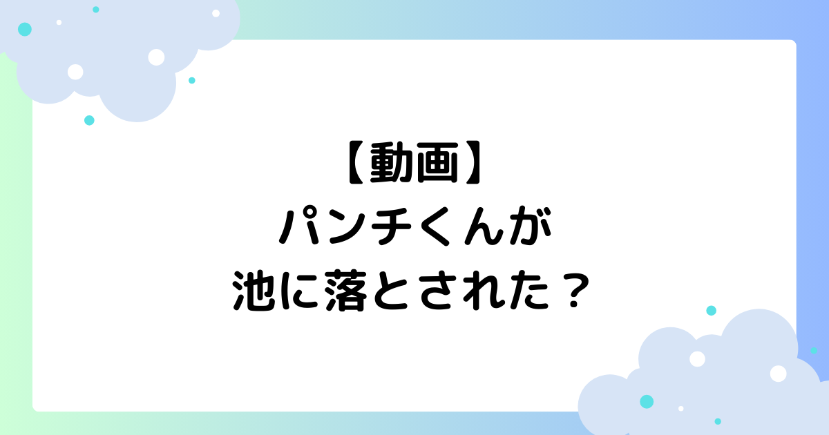 【動画】パンチくんが池に落とされた？落ちた理由はなぜ？